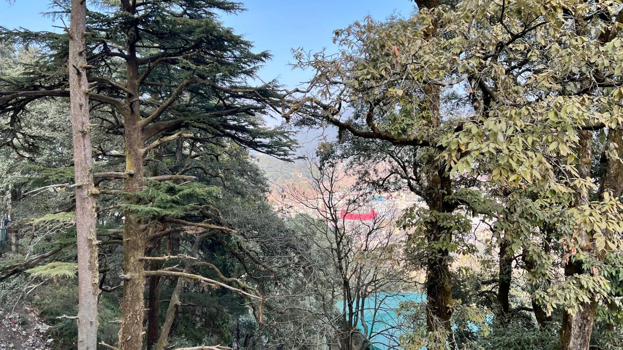 Hotel Pride Inn - 800 Mts From Mall Road Mussoorie Exteriér fotografie