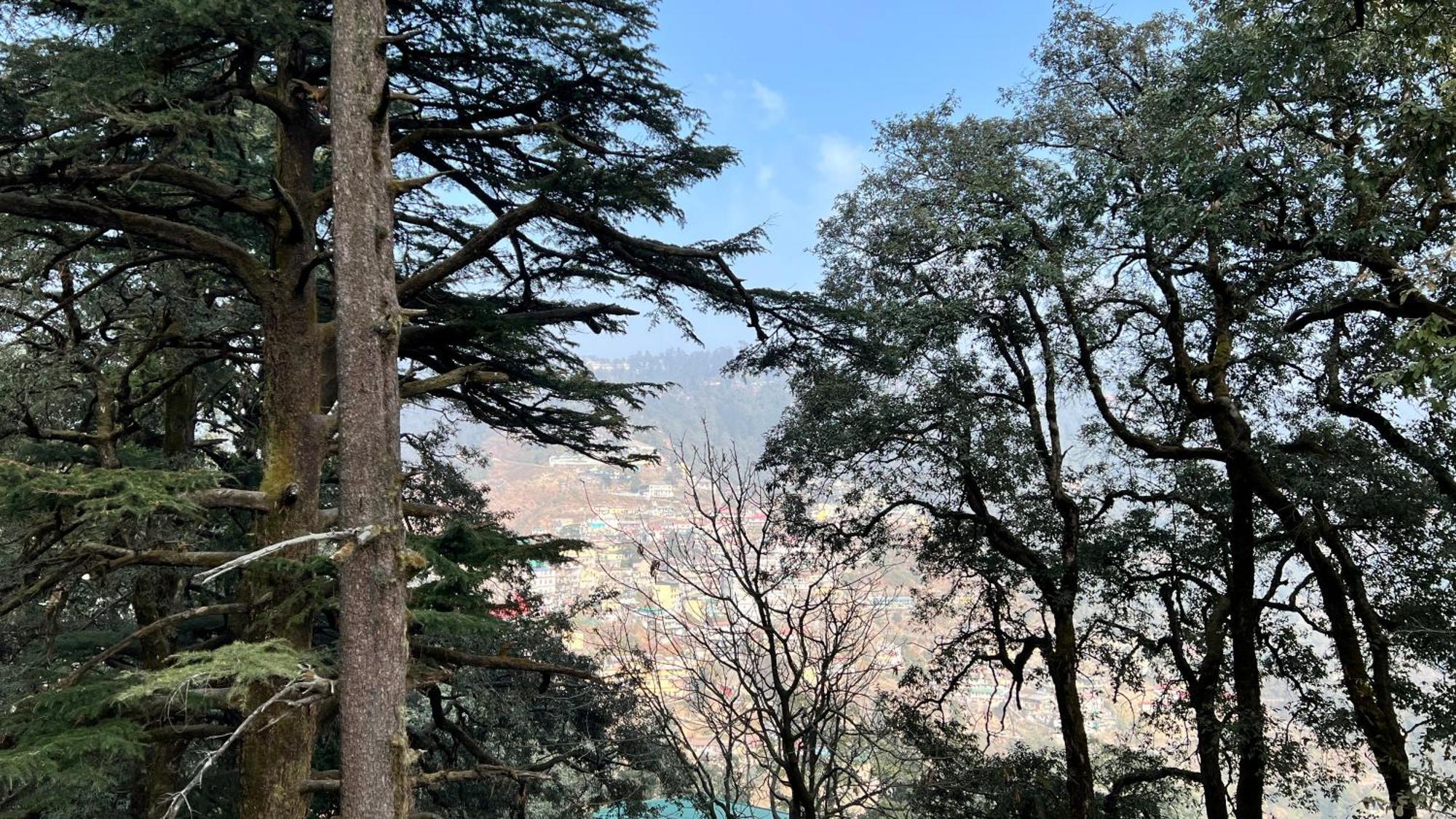 Hotel Pride Inn - 800 Mts From Mall Road Mussoorie Exteriér fotografie